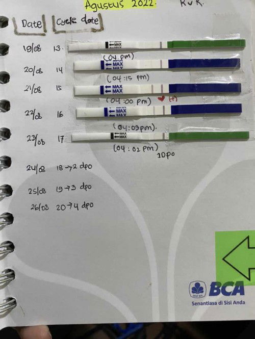 Tes Ovulasi
