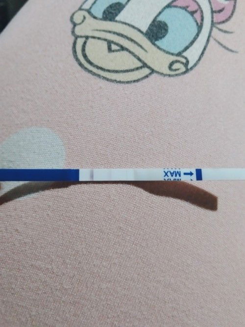 ตั้งครรภ์ลูกสอง