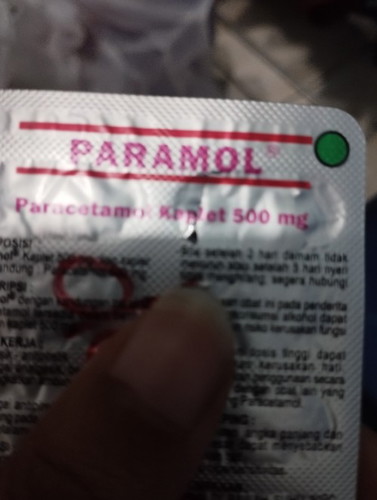 Hamil 12 minggu