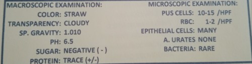 Hello po, share ko lang result ng urinalysis ko, 8 weeks preggy. UTI ba pag ganito 😔Thank you.