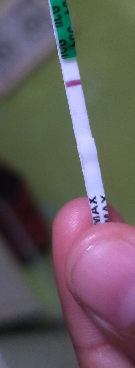 Apakah ini garis 2 . Tapi samar?