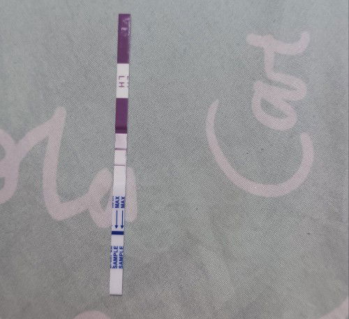 Trying to conceive 🤰