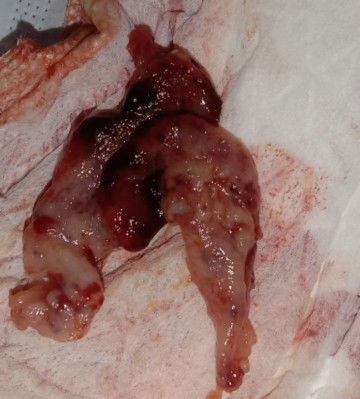 อยากสอบถามผู้รู้ค่ะ