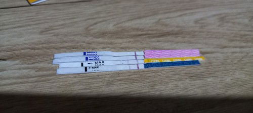 Mau nanya dong bun ,menurut bunda2 aku hamil ngga ya?