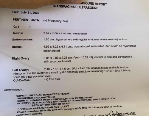 Ano po ibig sabihin nitong result ng Transv? Thank you