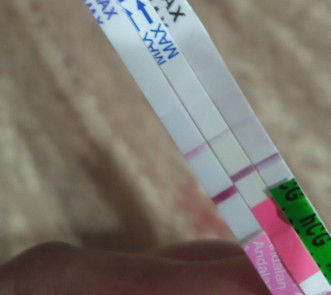 hpht Agustus / hpl Mei 2023