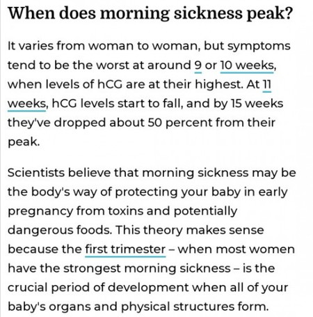 Minggu peak morning sickness adalah minggu ke 9 dan 10