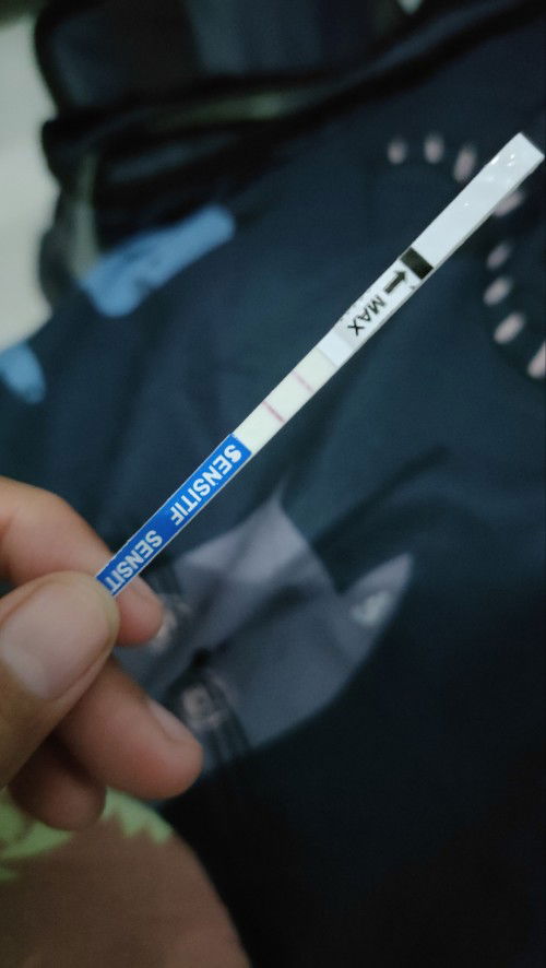 Hasil testpack Positif atau Negatif?