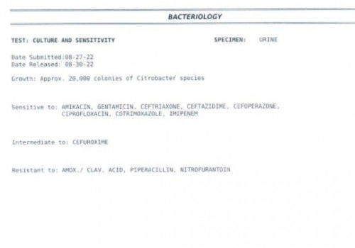 Mga mommy ano po kaya means po ng citrobacter species yan po kc lumabas sa lab q po im 20weeks pregy