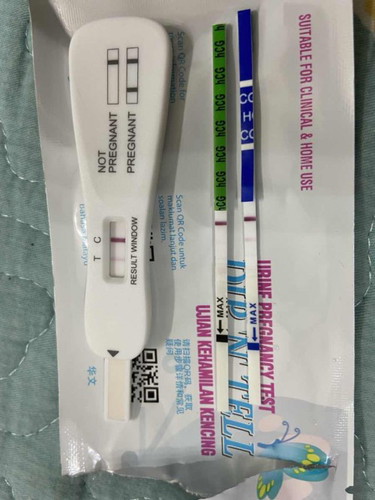 Pregnancy Test
