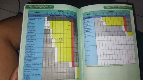 Bun mau nanya kalian baby nya kl imunisasi sebulan sekali apa 2 bulan sekali ya? Apa suka2 kita aja?