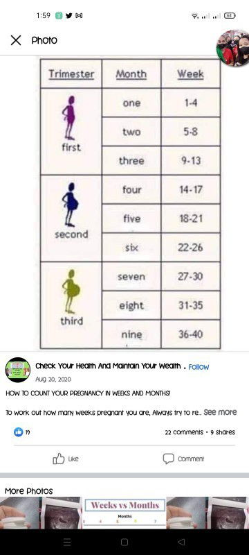 Pregnancy weeks to months