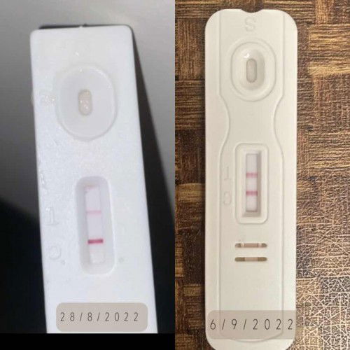 dah boleh scan ke agak agak?