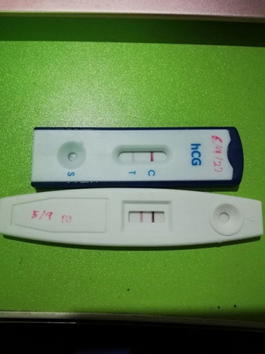 Cek guna upt berbeza