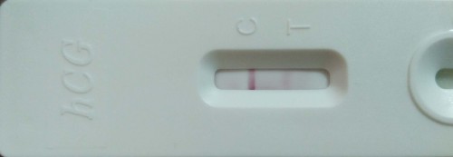 Pregnancy Test
