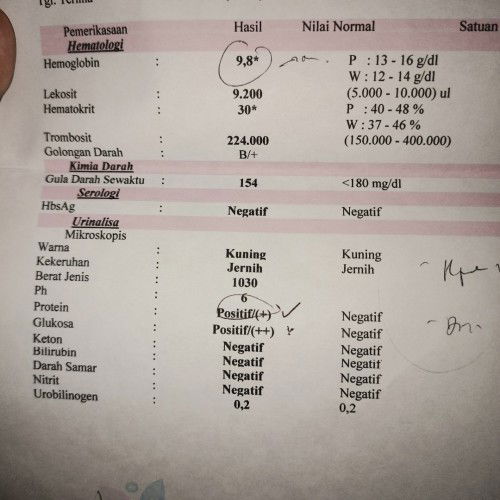 Hasil cek lab bumil TM2