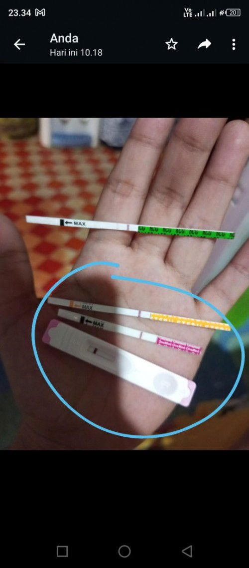 Maaf izin bertanya barangkali bunda2 ada yang sama seperti saya