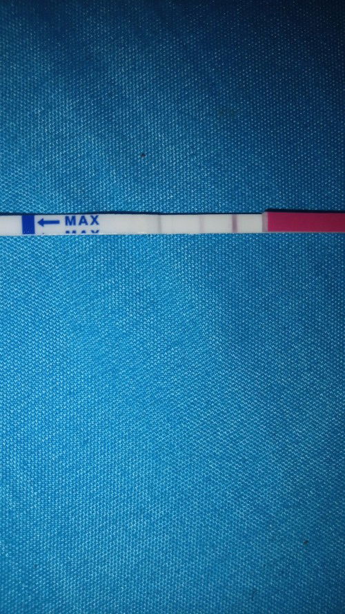 Seputar program hamil