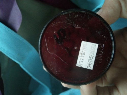 เรื่องกินยาบำรุง