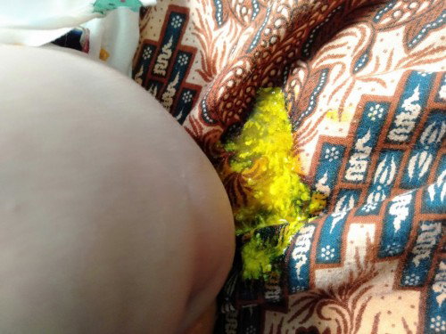 Bab umur 2 bulan