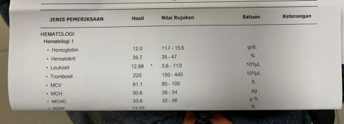 Cek darah trimester 1