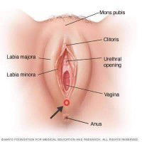 28 week rasa ngilu nyucuk sakit