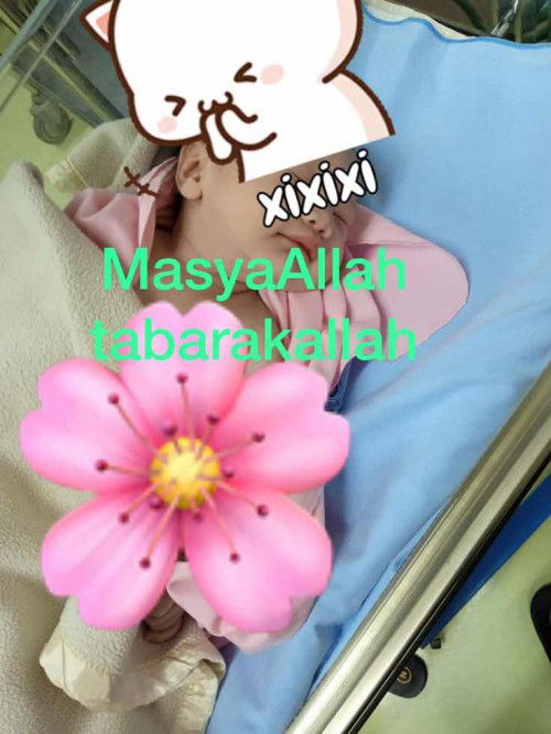 Hpl 15 sept lahir 14sept