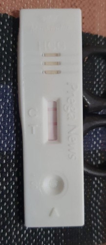 Wanted to know if my wife is pregnant