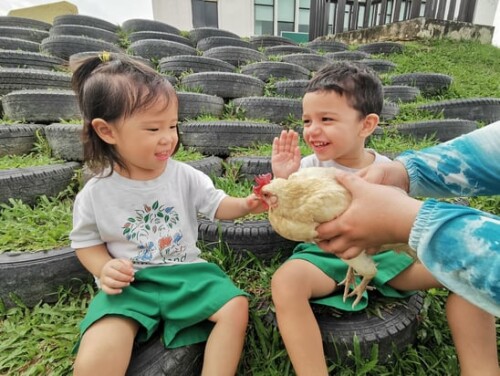 Curious about what your child really learns in Preschool?