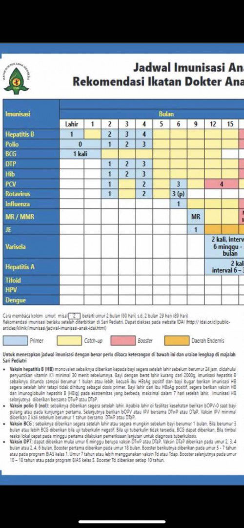 Perbedaan Jadwal Vaksin / Imunisasi di Buku KIA dan IDAI 2020