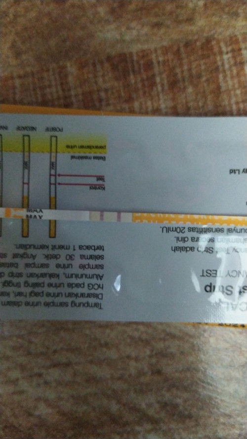 Hasil TP pasca kuret