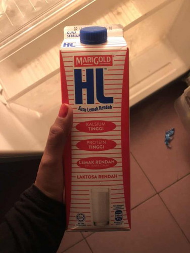 Air susu HL