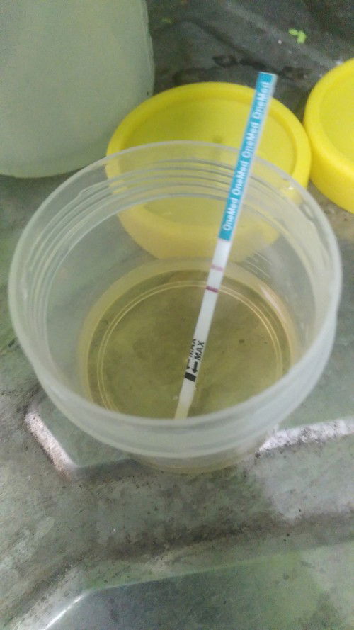 hamil lagi anak ke 2