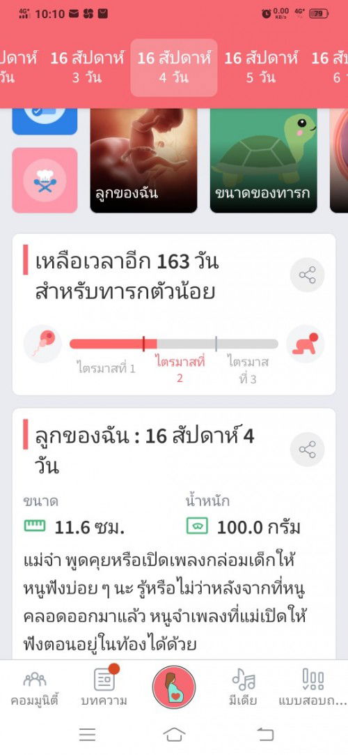 ลูกตอดดิ้นตอนไหน