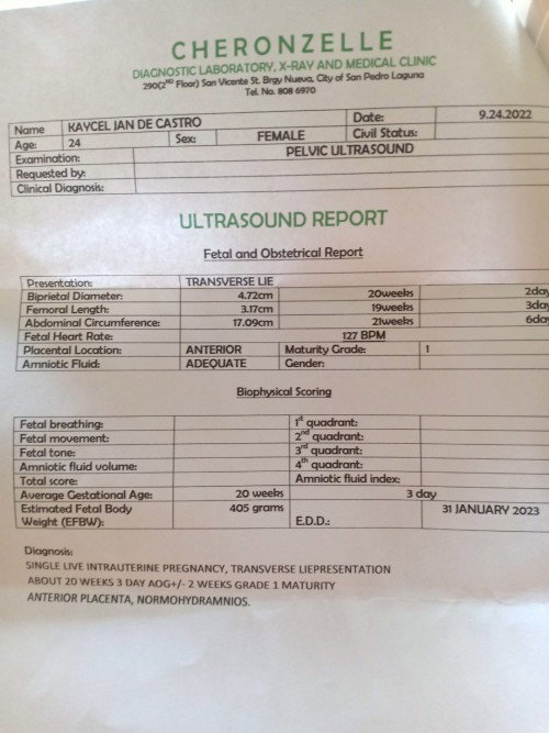 pelvic ultrasound