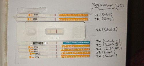 Testpack samar, positif atau negatif ?