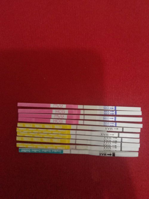 Pejuang garis 2 ☺️