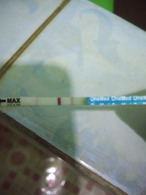 Hasil Tes Kehamilan