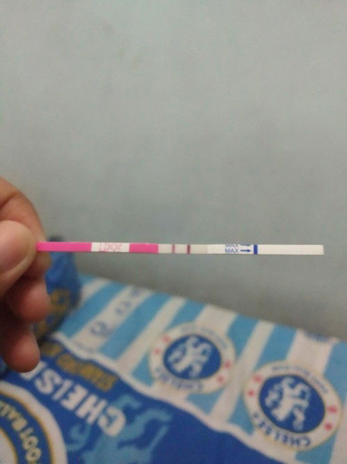 Hasil Tes Kehamilan
