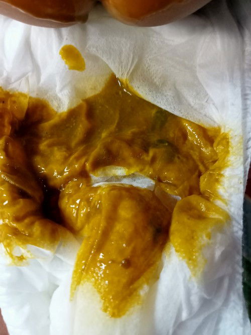 Pup bayi kuning kehijauan