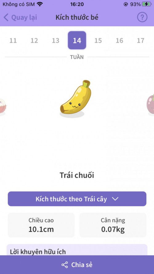 Thai tuần 14 hình trái chuối