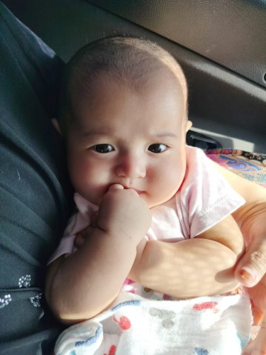 Salam semua
