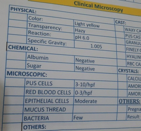 URINALYSIS RESULT. Mataas po ba ang UTI ko or Mild lang?