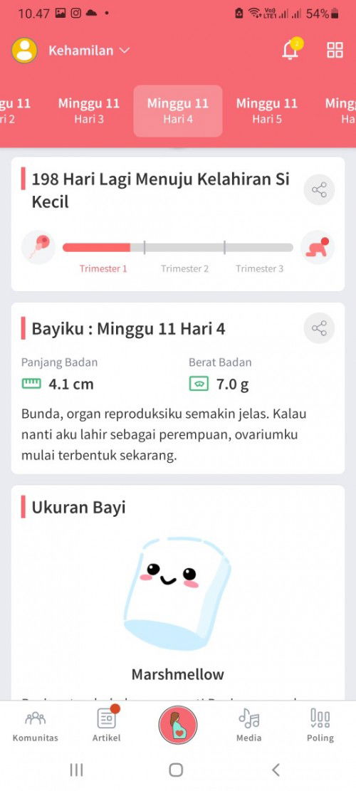 Seputar jenis kelamin