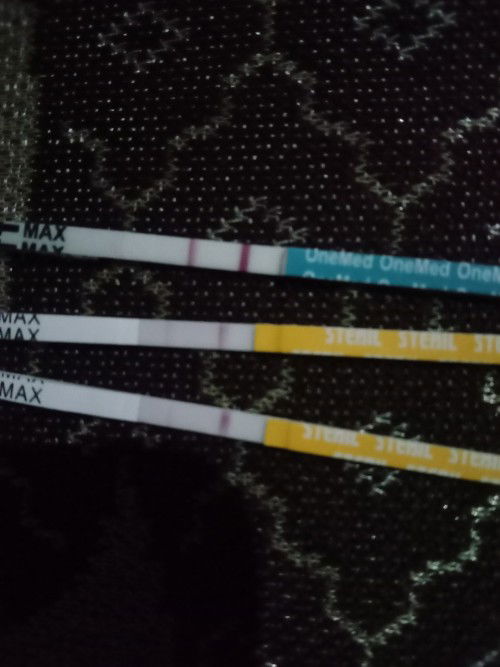 Saya sempat garis 2 tp tiga hari haid dan negarip apakh saya hamil