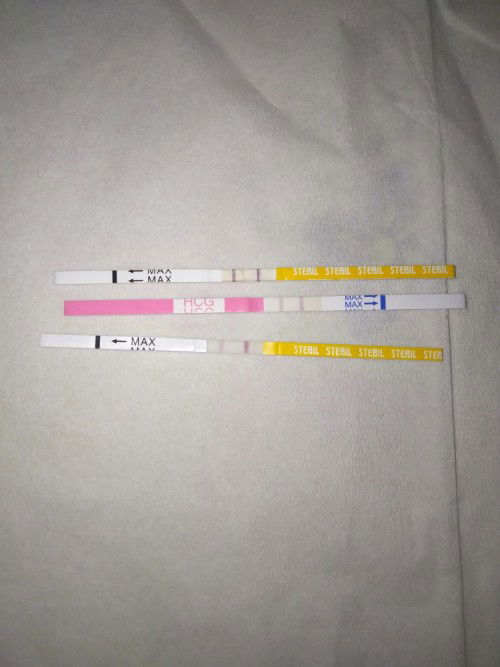 Hii moms, aku hamil 5minggu 4hari, tp belum kelihatan bentuk janin nya🙏