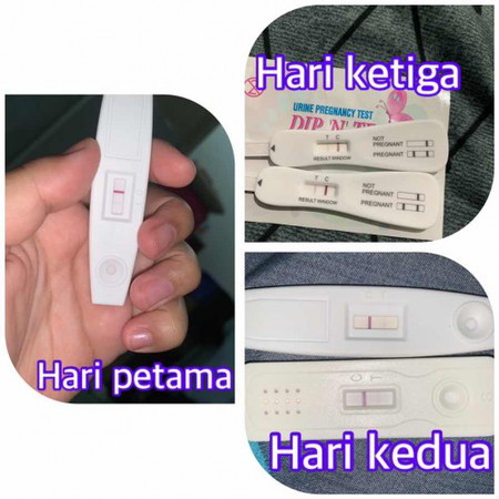 Hari demi hari