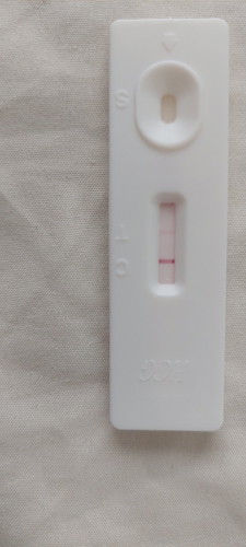 Pregnancy Test