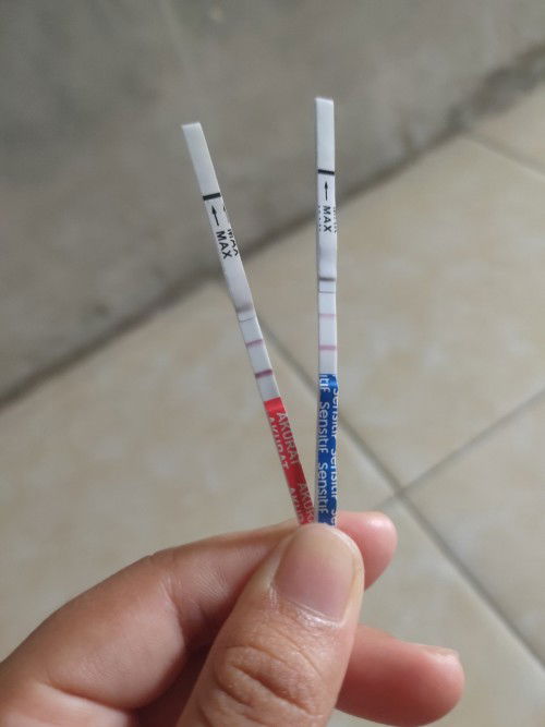 Test sebelum jadwal haid