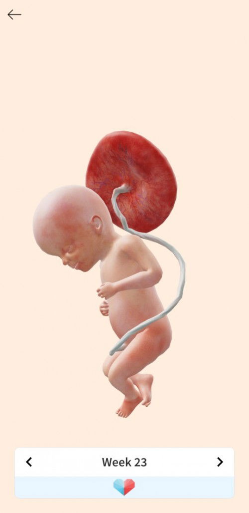 Obat batuk untuk ibu hamil yg aman apa ya bun?